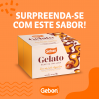 GELATO GEBON 2LT