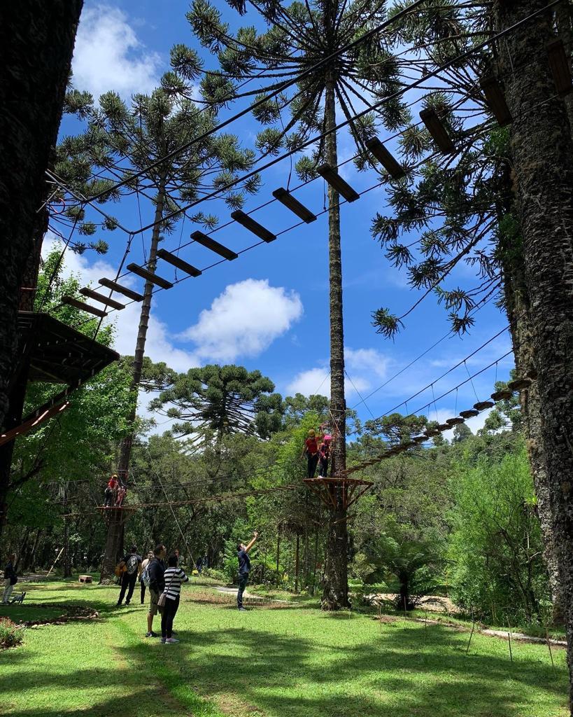 BOSQUE3 | Datacaixa